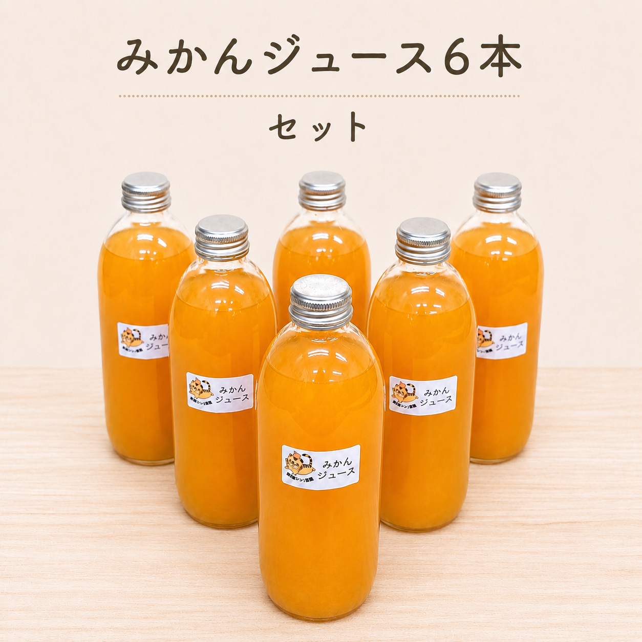温州みかん100％ジュース500ml×6本セット