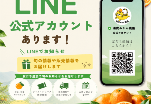 公式LINE画像